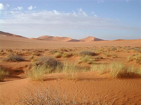 Sahara – Wikipedia